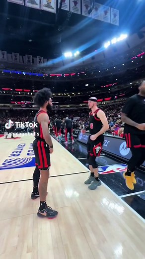 Chicago Bulls Sketch Since Birth