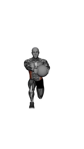 Med ball half kneeling wood choppers.mp4