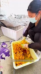 Colorful Chicks Truth Exposed 🎨⚠️#chicks #viral #shorts #truth
