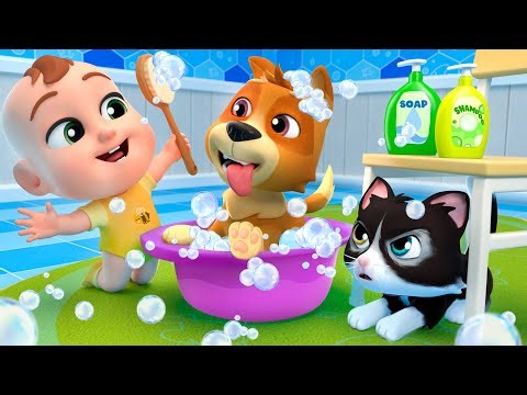 Bingo (Baby's First Pet)+More Newborn Educational Nursery Rhymes & Kids Songs