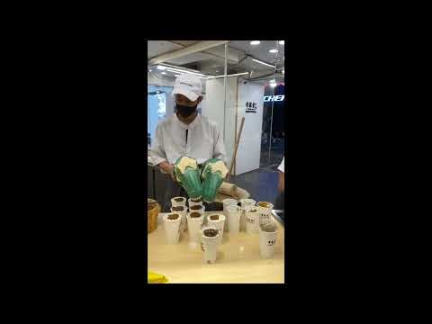 Original Bubble Tea in Taipei