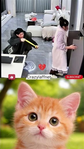 Cuteness Overload: Cat Reacts to Human Shenanigans! 😂😸 #couple #shorts #lifestyle