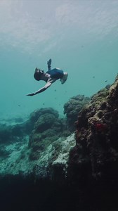 On low vis days the blue hole has a kind of mysterious beauty. The haziness of the water prevents light from entering the sinkhole which means on these days it gets very dark, very quickly. Sometimes I find the dark unnerving but other times it is somewhat comforting. Filmed by @andremusgrove who I was lucky enough to run into while swimming. ... #freediving #underwater #freefall #oceanlife #athlete | Amber Bourke Freediving