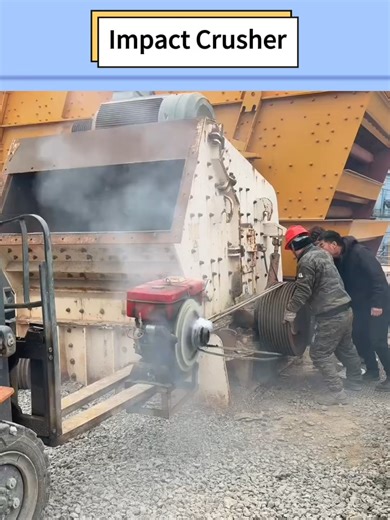 A small horse trying to pull a heavy cart – it just can‘t do it! 😂