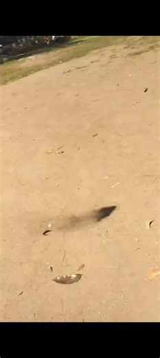 How to Make a Dust devil (Joke)