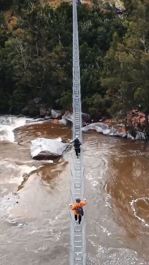 45K views · 540 reactions | Craving a nature-filled adventure day?...