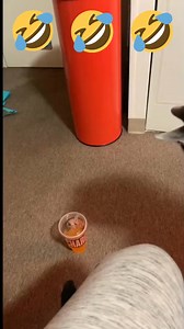 12K views · 262 reactions | Cats mischievous #funnyvideos #fypシ #funnycat #catlover #cat #kitty #kittenlife | Cat Funny Videos 018 | Facebook