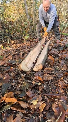#Splitting Long #Logs with #Axe and #Wedge