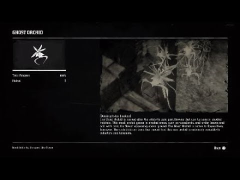 Red Dead Redemption 2: All 5 Ghost Orchids Locations
