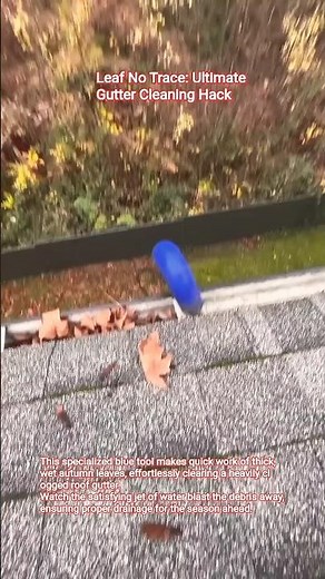 Leaf No Trace: Ultimate Gutter Cleaning Hack