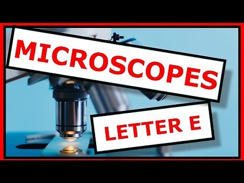 The Famous Microscope Letter E Slide