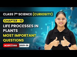 Life Processes in Plants - Most Important Questions | Ch 10 | Class 7 Science Curiosity | CBSE 2025