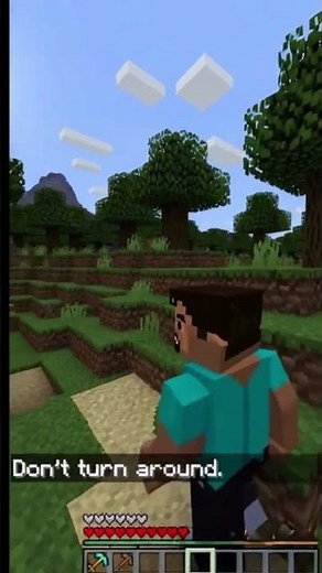Minecraft animation #animation #minecraft