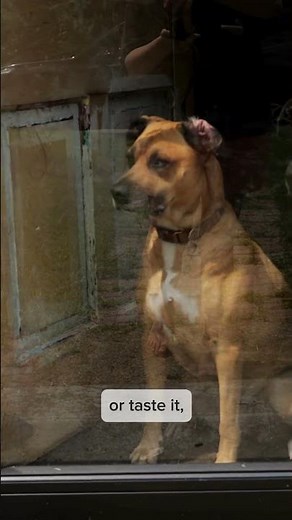 Test Your Home for Radon