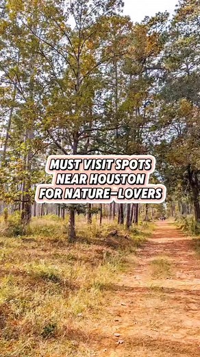 AIl of these beautiful parks are under an hour's drive from Houston! You don't have to drive far to enjoy beautiful nature near Houston, and these parks are proof. Which is your favorite? #houstonparks #texasparks #houstonnature #houstontodo #stufftodoinhouston #texasnature #texastravel #exploretexas #texasblogger #texastodo #houstoncreatives #explorehouston less | Texas Wanderers