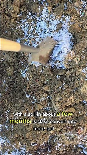 How to turn Shredded Paper to Compost #diy #gardening #composting #urbangardening