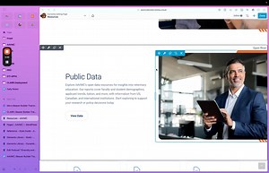 AAVMC - BB Training - Link Updates