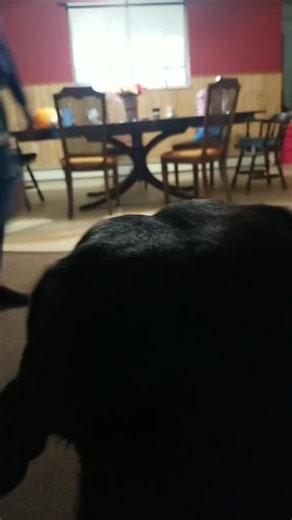 Penny.lee (@penny.lee72)’s videos with