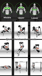 💥 Build Your Chest from Every Angle! Want a well-rounded chest? Train it from the middle, upper, and lower positions. Middle Chest Barbell Bench Press, Dumbbell Fly, Push-Up Upper Chest Incline Press, Incline Dumbbell Fly, High-to-Low Cable Crossover Lower Chest Decline Press, Decline Dumbbell Fly, Low-to-High Cable Crossover 💡 Tip: Keep your shoulders back and chest up to avoid losing tension during presses. 🔹🔹🔹🔹🔹 📻 Save this workout & follow us for more! 🏠 Want to build strong pecs wi