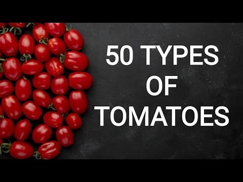 50 Types of TOMATOES | SelfLove
