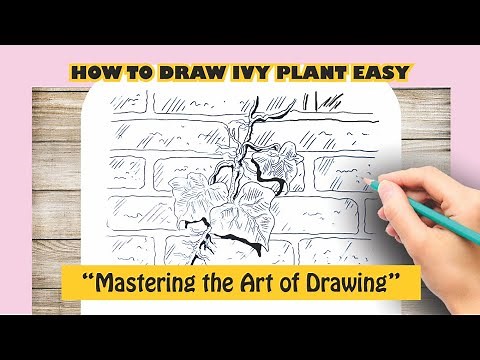 How to Draw Ivy Plant Easy