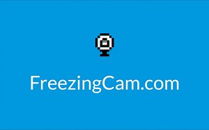 Freezing Cam : l'application pour figer volontairement votre caméra durant une visio !