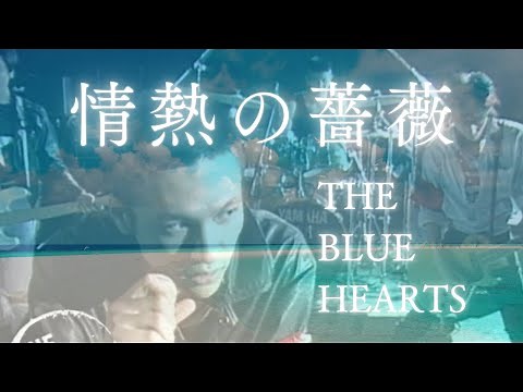 情熱の薔薇・THE BLUE HEARTS
