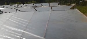 Wooden greenhouse covering | Agri-Irrigation And Solutions Africa Ltd