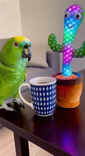 When the parrot becomes the funniest one in the room.#youtubeshorts #parrot #talkingparrot #funny