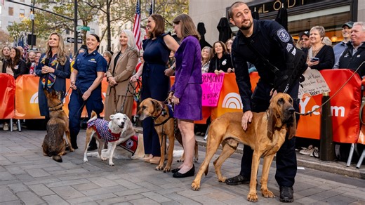Dog crowned America's Hero Dog live on TODAY