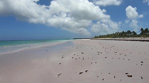 Afternoon Walk and Swim French Leave | Eleuthera, Bahamas