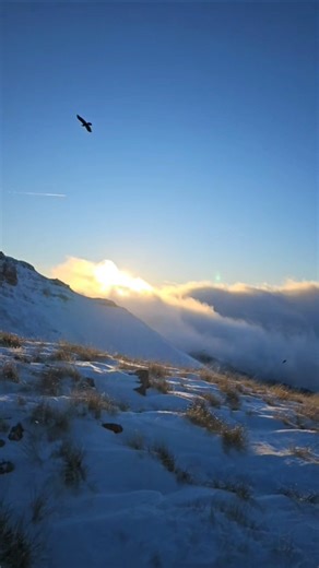 EPIC VIEW #views #sunset #mystical #clouds #hunting