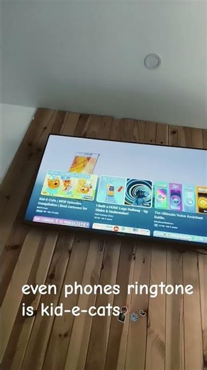 i built kid-e-cats In tv