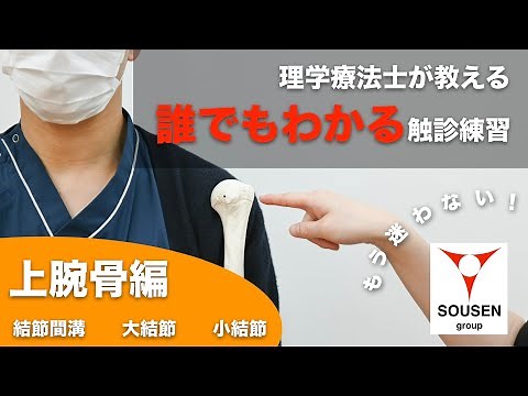 【今更聞けない】誰でもわかる上腕骨の触診をわかりやすく解説！結節間溝、大結節、小結節