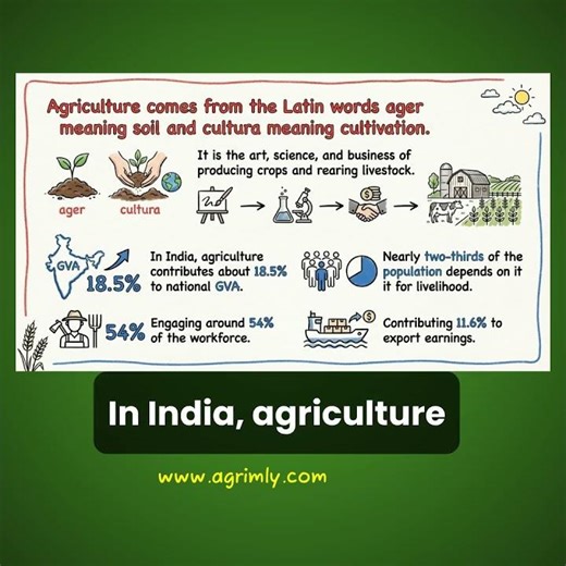 Meaning and Origin of Agriculture | Basic Agriculture Concepts | #Agrimly