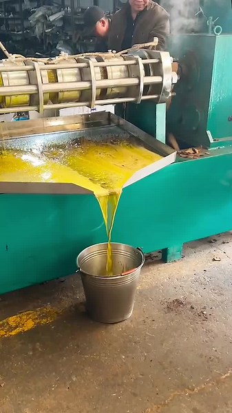 Exploring Food Machinery: The Oil Press Process