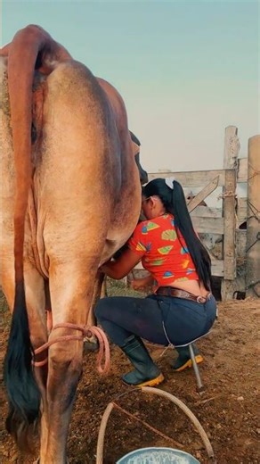 Another Peaceful Day of Farm Work | Simple Earth Living 🌿 #SimpleEarthLiving #farm #countrysidelife