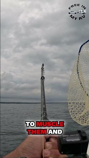 Geneva on the Lake: Walleye Fishing Capital!