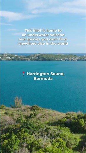 Harrington Sound in Bermuda: A Geological Gem | Go To Bermuda