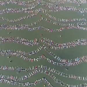 31K views · 277 reactions | Nearly 2,000 people floated in a line in...