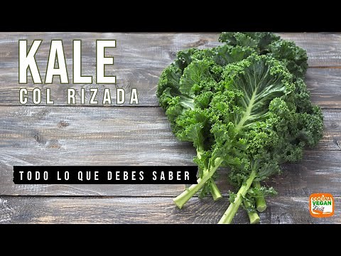 Kale, EVERYTHING YOU NEED TO KNOW.