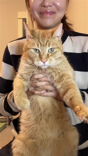 Butters Locked In: Tickle Torment and Chaos