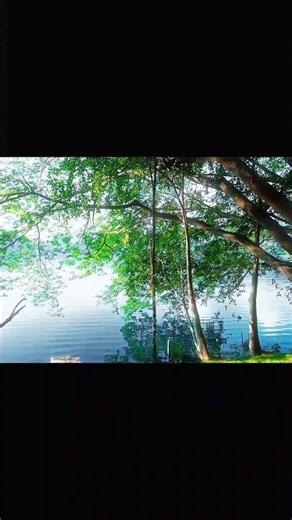 Colour grading in one click