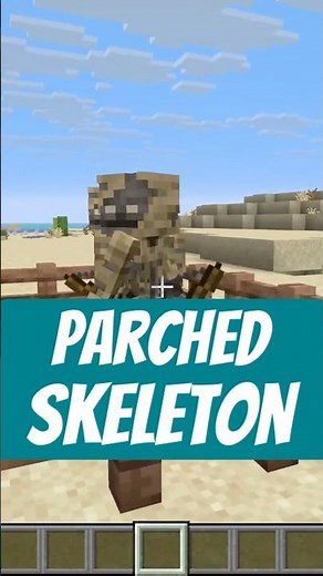 Parched’s Skeleton Makes the Desert TERRIFYING! 💀🌵 #Minecraft #Shorts