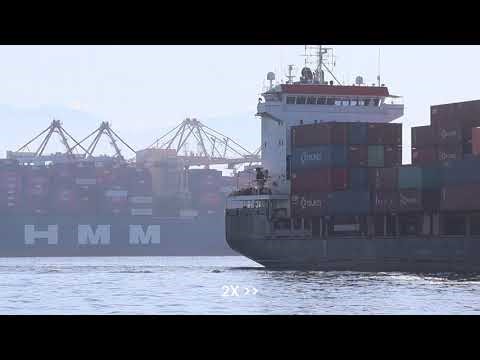 [貨輪出港] OSG BOSSTEC🚢支線型貨櫃輪 | 穿裙裙拍船船