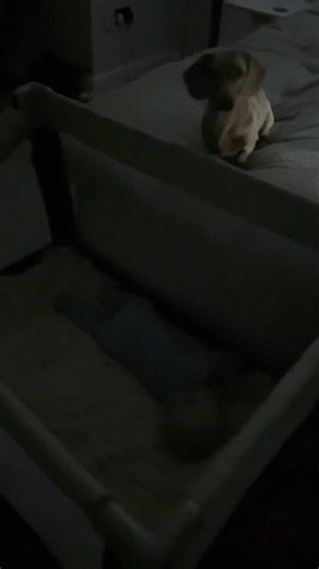 When your cousin comes to stay