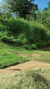 10K views · 420 reactions |  Patrick’s 30th Birthday was a SMASH! Big thank you to everyone who tuned in LIVE, we’re loving all your sweet birthday wishes for Pat 轢❤️ 拾 If you missed the LIVE party this morning, click the link below to watch the entire birthday BASH! https://youtu.be/HOhdtUYvdx4 | Riverbanks Zoo and Garden | Facebook