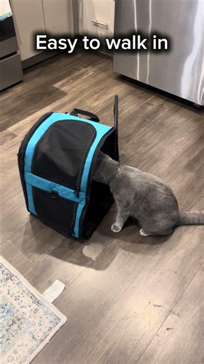 Cat Carrier Backpack for Bigger Cats 🐾 Stress-Free Travel