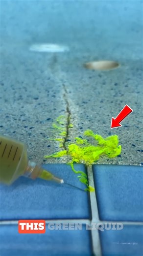 25K views · 33 reactions | Watch the Dye Reveal the Leak Watch the...