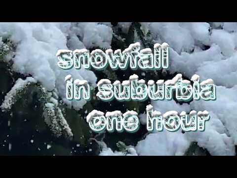 Snowfall suburbia 1 hr